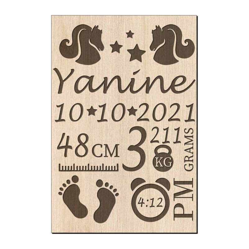 Houten geboorte bord unicorn met naam en stats