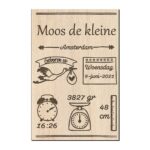 Naambord ooievaar met naam