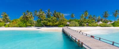 wooden pier pathway footbridge into paradise island tropical beach shore palms sand sunny sea sky