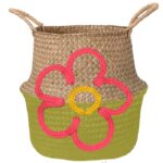 Plante dans un panier – Image 13