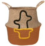 Plant in een mand cactus medium