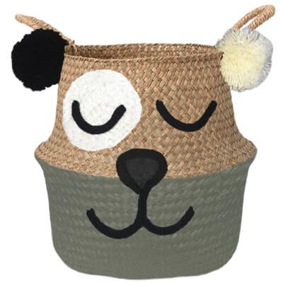 Ursidae mand olijf groen